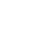Custom Design Icon