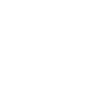 WordPress Icon