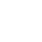 Custom Design Icon
