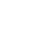 Shopify Icon