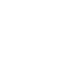 WordPress Icon